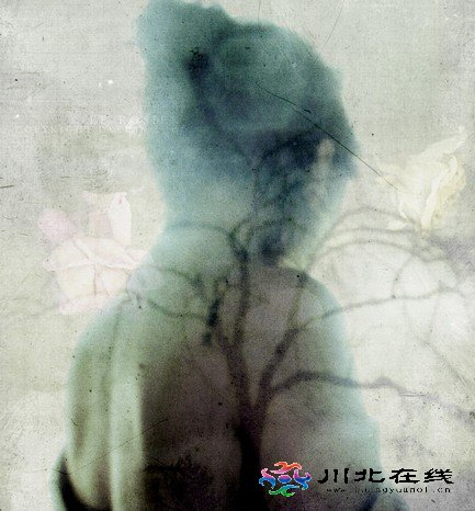 ^ϵָl(shu)(wn)؟(z)