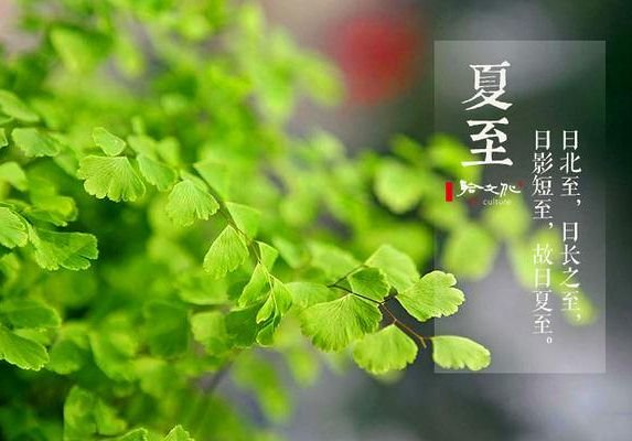 2017什么時(shí)候入伏 2017入伏是哪一天 2017入伏時(shí)間