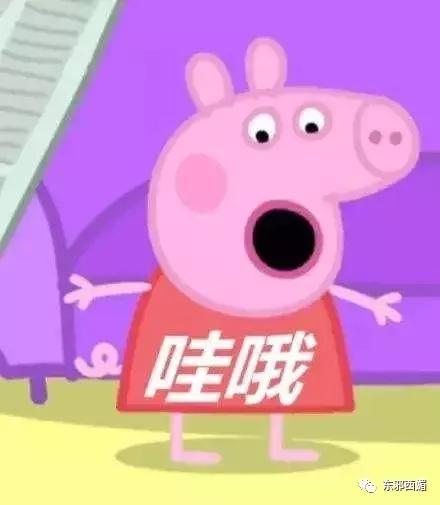 Ql(f)׃ҺСi涼@