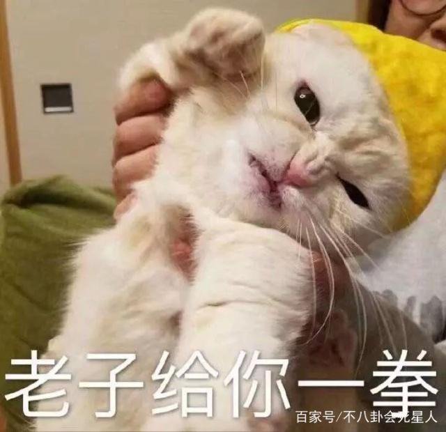 ҕǐС߀Ц(ni)ظF վʲô߀Ո(qng)