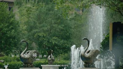 TOPϵ | Ж|W(xu)Խ¾AƷ|(zh)