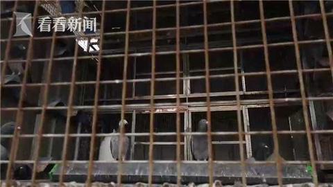 66daddc30572ed4b440bc1b8c3b38e54.jpg 圖片