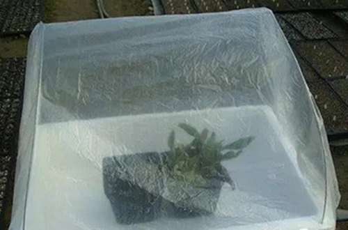 1520412274432985.jpg 7.jpg