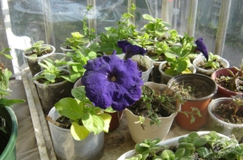 1520412323122012.jpg 9.jpg