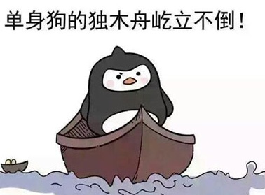 母單花是什么意思什么梗?母單花出處是哪里深層含義解析