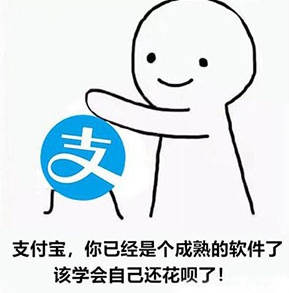 母單花是什么意思什么梗?母單花出處是哪里深層含義解析
