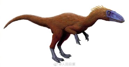 石板路驚現(xiàn)恐龍足跡,避暑山莊原來(lái)是侏羅紀(jì)公園! 石板路驚現(xiàn)恐龍足跡,避暑山莊原來(lái)是侏羅紀(jì)公園!