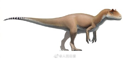 石板路驚現(xiàn)恐龍足跡,避暑山莊原來(lái)是侏羅紀(jì)公園! 石板路驚現(xiàn)恐龍足跡,避暑山莊原來(lái)是侏羅紀(jì)公園!
