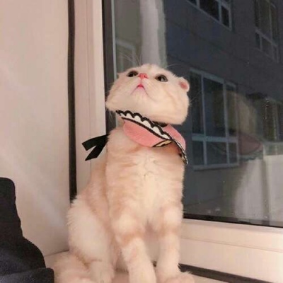 ɐ(i)Ђ(g)Ե؈΢^ ǧ漢(d)в