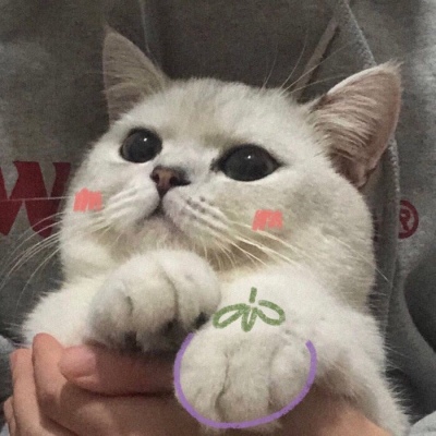 ɐ(i)Ђ(g)Ե؈΢^ ǧ漢(d)в