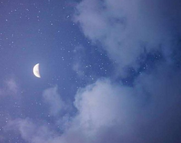 2020微信個(gè)性簽名最火的 種自己的花愛(ài)自己的宇宙