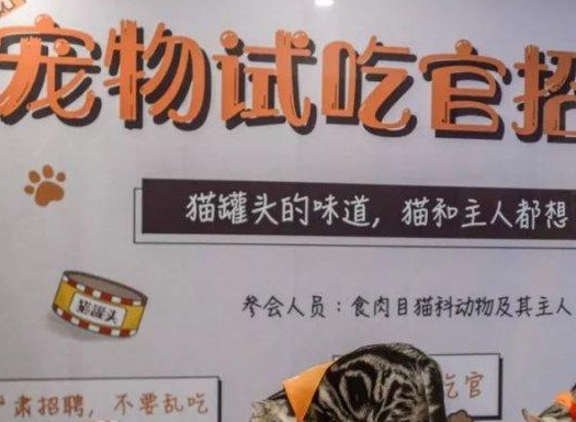 試吃官.png