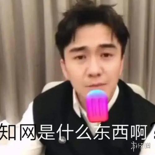 游俠網(wǎng)2
