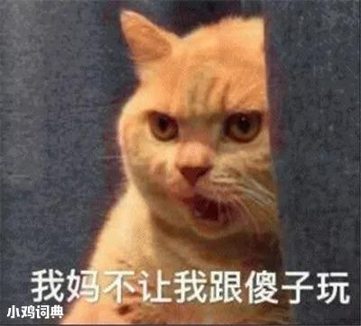 我媽不讓我跟你玩