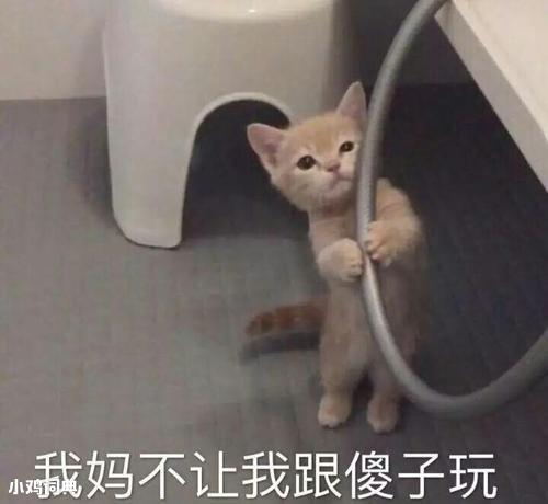 我媽不讓我跟你玩