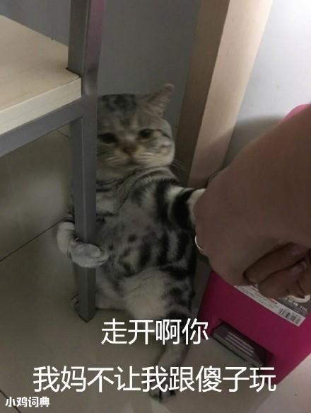 我媽不讓我跟你玩