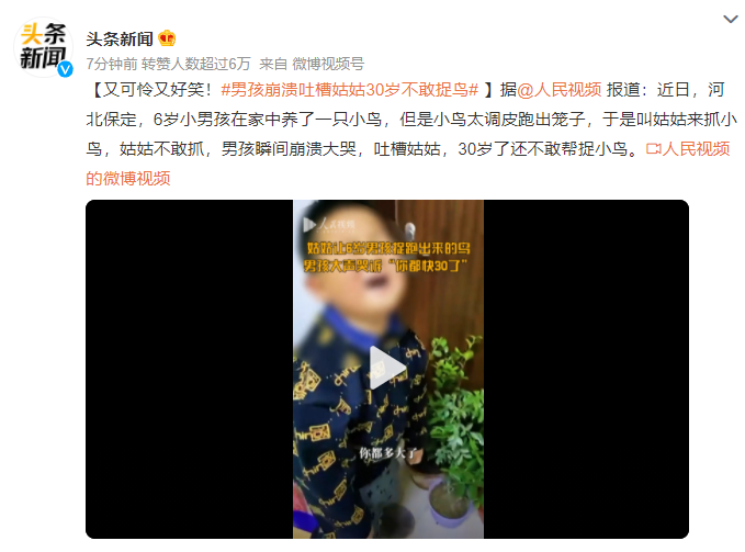 可憐又好笑!男孩崩潰吐槽姑姑30歲不敢捉鳥
