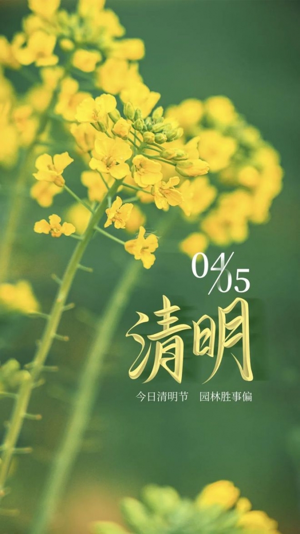 游俠網(wǎng)4