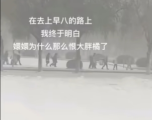《抖音》果郡王口碑一夜逆轉(zhuǎn)是什么梗