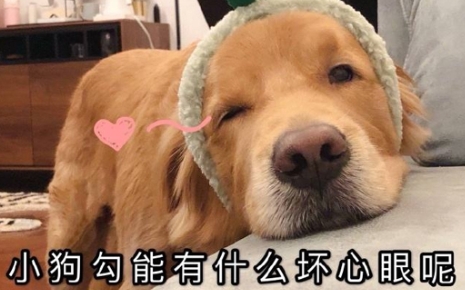 W(wng)j(lu)Zʲô˼ʲô