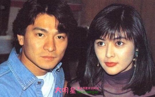 關(guān)之琳,劉德華