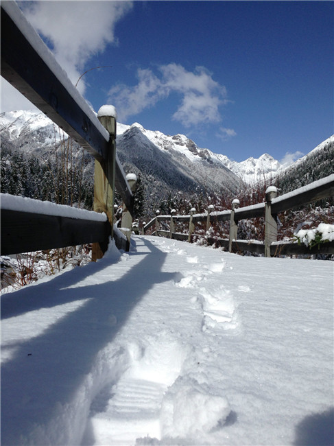 達(dá)古冰山連降春雪 周末可觀最美春日雪景