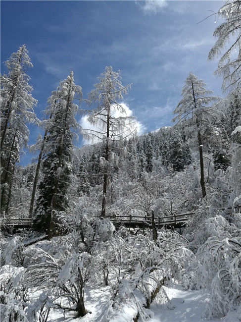達(dá)古冰山連降春雪 周末可觀最美春日雪景